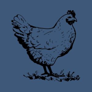 Blanc de poulet tranché